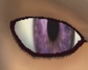 [DS]violet eyes
