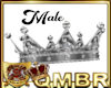QMBR Crown Diamond S M