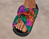 Tropical Slides 2 (F)