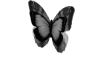 Butterfly Decor Gray