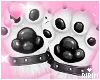 Kitty Paws Black