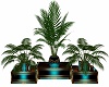 mystical plant set