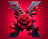 X ROSES HEELS