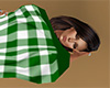 Green Blanket Plaid