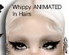 [BLANCH] Whippy Hairbase