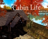 !T Cabin Life
