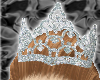 ~Diamond Princess Crown