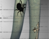 Jeansy Jeans