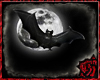 [ML]Bats Animated