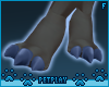 🌙 Snook feet paws