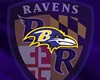 [MC] Ravens Hoody