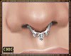 ck. Septum SLV