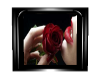lips an a red rose pic.