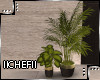 Plants Set 2