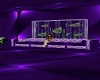purple couch aquarium