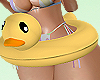 (S) Duck Pool Float