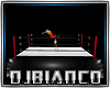 RING FIGHT DJ LIGHT