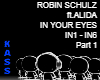 Robin Schulz IN YOUR...