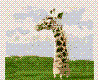Poor Giraf