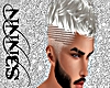 S3N - Zayn Platinum Hair