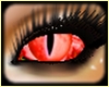 [SL] Devil fire eyes