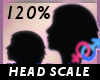 Head Scale 120 % -F-