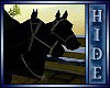 [H] horse drawn wagon