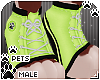 [Pets] Sneakers | Lime