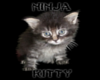 Ninja Kiity Sticker