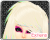 |AM|Extensions Circus