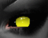 Eyes / Yellows Spirit F