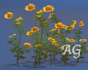Sunflowers A.G.