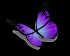 Butterfly Tattoo Hip
