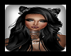 Darlina Black / Grey