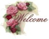 Welcome with roses