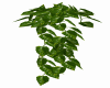 Plant Add On Pot