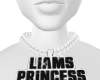 liams princess