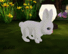 Forest Enchanted Rabbit