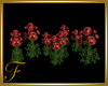 F: Flowers