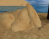 Rocks in the sands