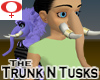 Trunk N Tusks -Female