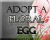 Adopt a Floral Egg!