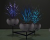 Club Plants 2025