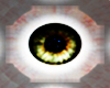 (MR)Eyes Hazel Male