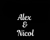 Alex & Nicol Necklace/M