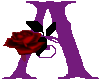 Purple Rose Letter A