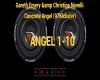 Gareth&amp Concret Angel
