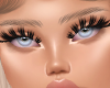 HD LASHES LIMITED