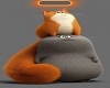 gatinus