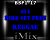 Reggae - Bird Set Free